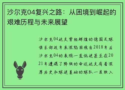 沙尔克04复兴之路：从困境到崛起的艰难历程与未来展望